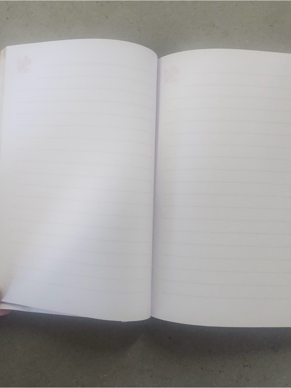 Journal - Picture 3 of 3